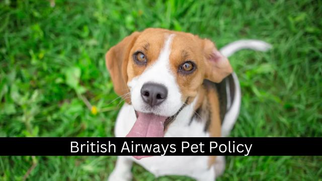 British Airways Pet Policy