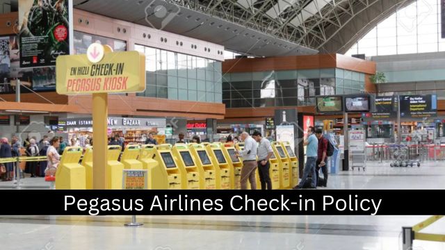 Pegasus Airlines Check-in Policy