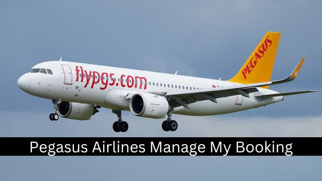 Pegasus Airlines Manage My Booking