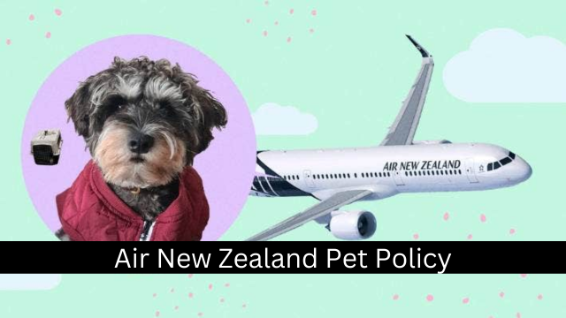Air New Zealand Pet Policy