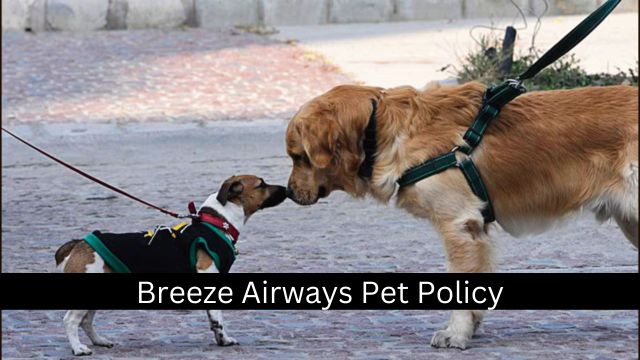 Breeze Airways Pet Policy