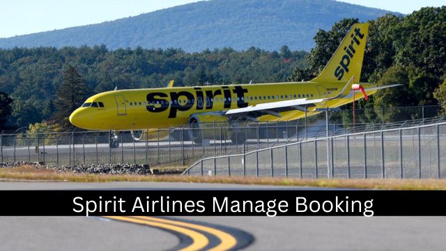 Spirit Airlines Manage My Booking 